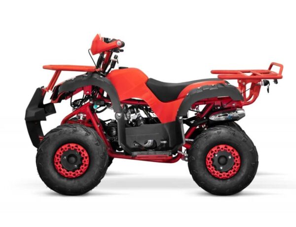 Toronto RG7 125cc Petrol Midi Quad Bike Automatic + Reverse - Image 3
